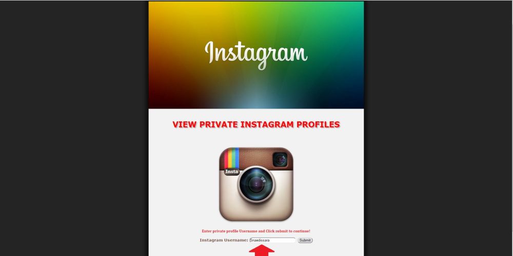 Peek into Privacy: The Ultimate Private Instagram Viewer
