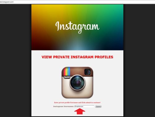 Peek into Privacy: The Ultimate Private Instagram Viewer